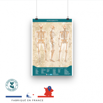 Le poster d'anatomie "Notre...